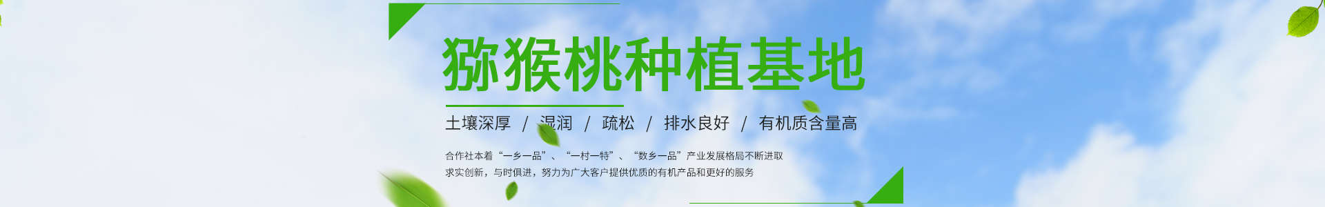 汇丰-汇丰娱乐蔬菜果蔬鲜果配送中心